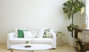 精打细算，明辨真伪 支招应对住宅室内装饰装修中的常见猫腻